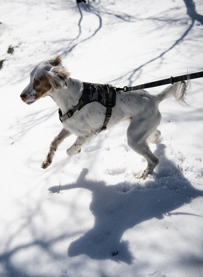Browning Camo Dog Harness, No Pull Adjustable Reflective Pet Walking Vest, Ovix Camo, Large - Image 5
