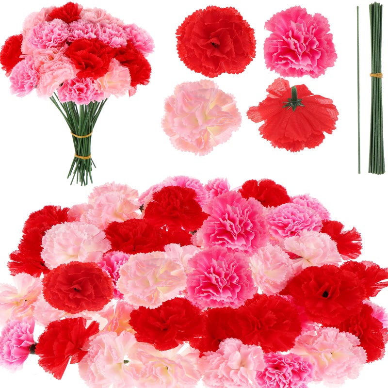 TBoxBo 120 Pack Artificial Carnations with Stems Leaves Eternal Blossom Silk Carnation Flower Artificial Pom Pom Mini Hydrangea Birthday Party for Home, Wedding(Scarlet, Pink, Light Pink) 5g6e8t1sm19 - Image 1