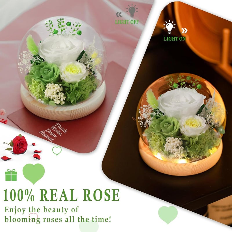 FIACO Preserved Rose Birthday Gift for Women Forever Fresh Flowers for Prime Delivery Gift for Mom Grandma Wife Valentines Mothers Day Christmas Anniversary Eternal Roses in Glass Dome - Image 3