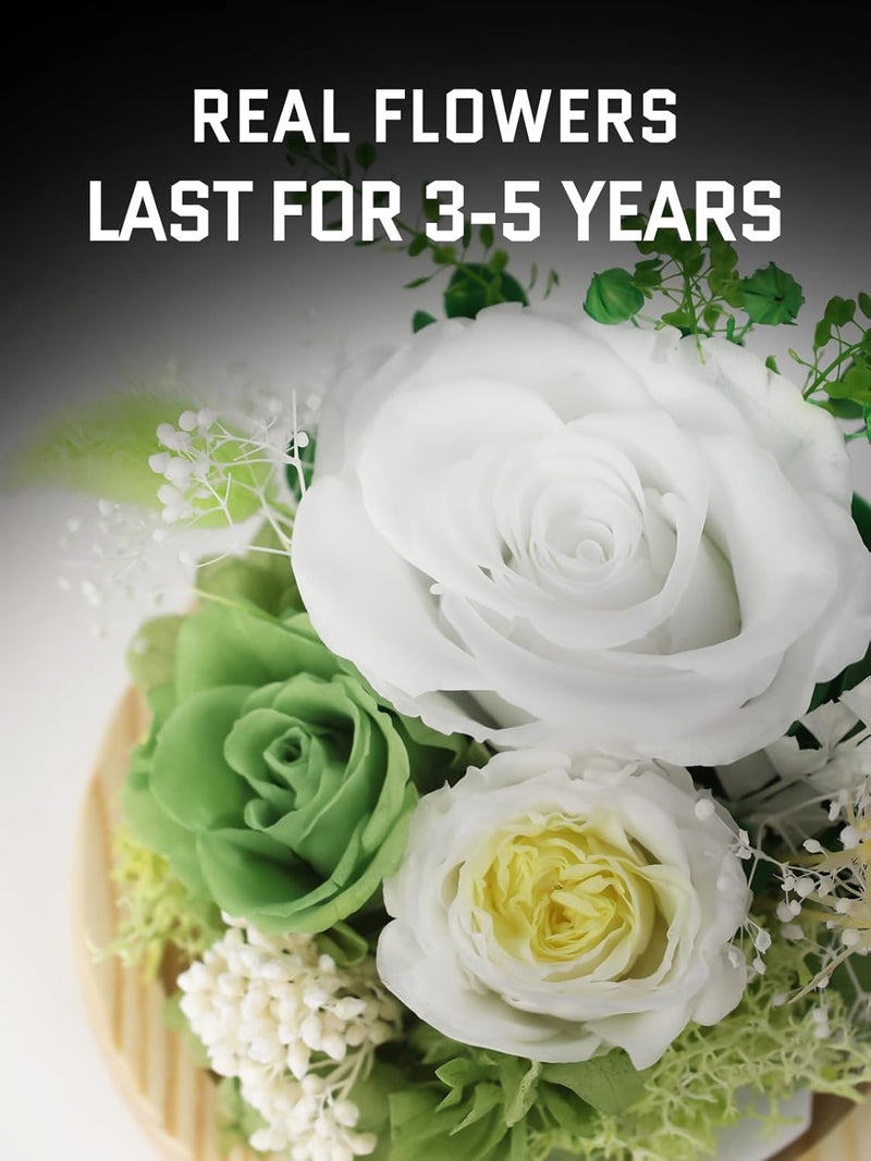 FIACO Preserved Rose Birthday Gift for Women Forever Fresh Flowers for Prime Delivery Gift for Mom Grandma Wife Valentines Mothers Day Christmas Anniversary Eternal Roses in Glass Dome - Image 2