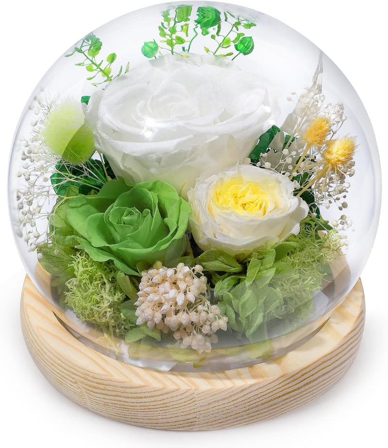 FIACO Preserved Rose Birthday Gift for Women Forever Fresh Flowers for Prime Delivery Gift for Mom Grandma Wife Valentines Mothers Day Christmas Anniversary Eternal Roses in Glass Dome - Image 1