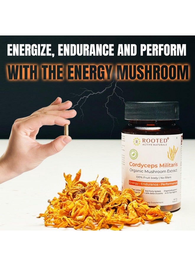 Rooted Active Naturals Organic Cordyceps Militaris Mushroom Extract Capsules, 500mg, 60 Count, Energy, Endurance, Performance (Pack of 2) - Image 5