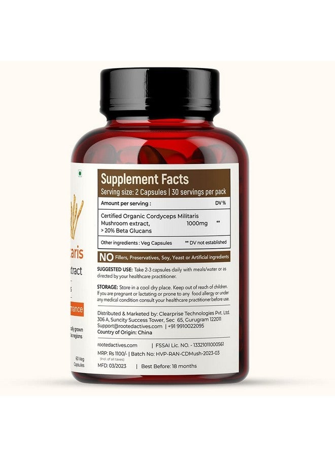 Rooted Active Naturals Organic Cordyceps Militaris Mushroom Extract Capsules, 500mg, 60 Count, Energy, Endurance, Performance (Pack of 2) - Image 2