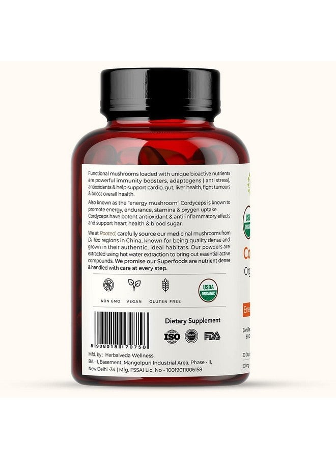 Rooted Active Naturals Organic Cordyceps Militaris Mushroom Extract Capsules, 500mg, 60 Count, Energy, Endurance, Performance (Pack of 2) - Image 3