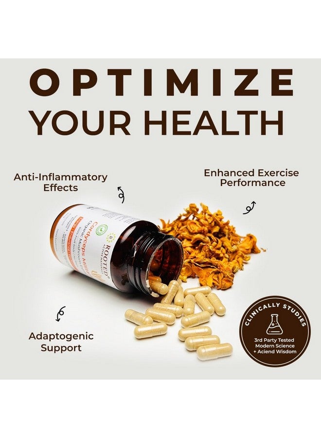 Rooted Active Naturals Organic Cordyceps Militaris Mushroom Extract Capsules, 500mg, 60 Count, Energy, Endurance, Performance (Pack of 2) - Image 4