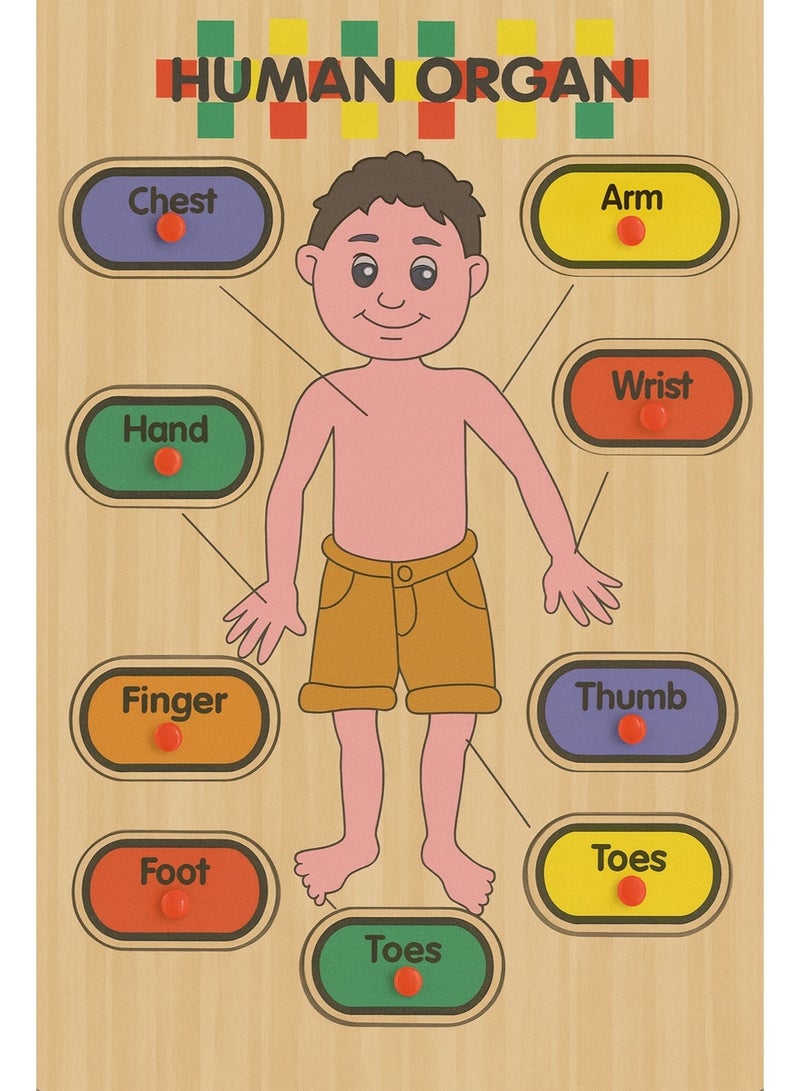 5 in 1 Educational Toy Set for Kids Learning, Thinking Skills, Letters and Shapes - Image 4