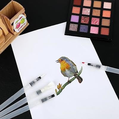 Cazuela Water Color Brush Pens Watercolor Paint Pens with Nylon Brush Tips for Watercolor Painting, Water Soluble Color Lead and Calligraphy (6 Pcs - Multi Color) - Image 2