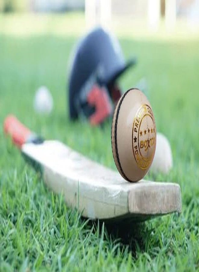 كرة كريكيت جلدية مصنوعة يدوياً من أربع قطع من BOXCO للأندية، ومباريات T20، ومباريات اليوم الواحد، ومباريات الكريكيت التجريبية (عبوة من 6 كرات) (باور ناتشورال) - Image 2