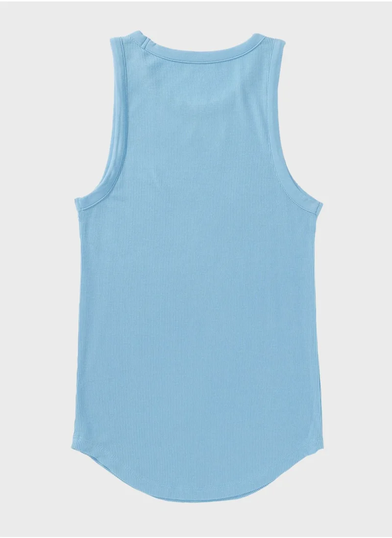 American Eagle Crew Neck Knitted Tank Top
