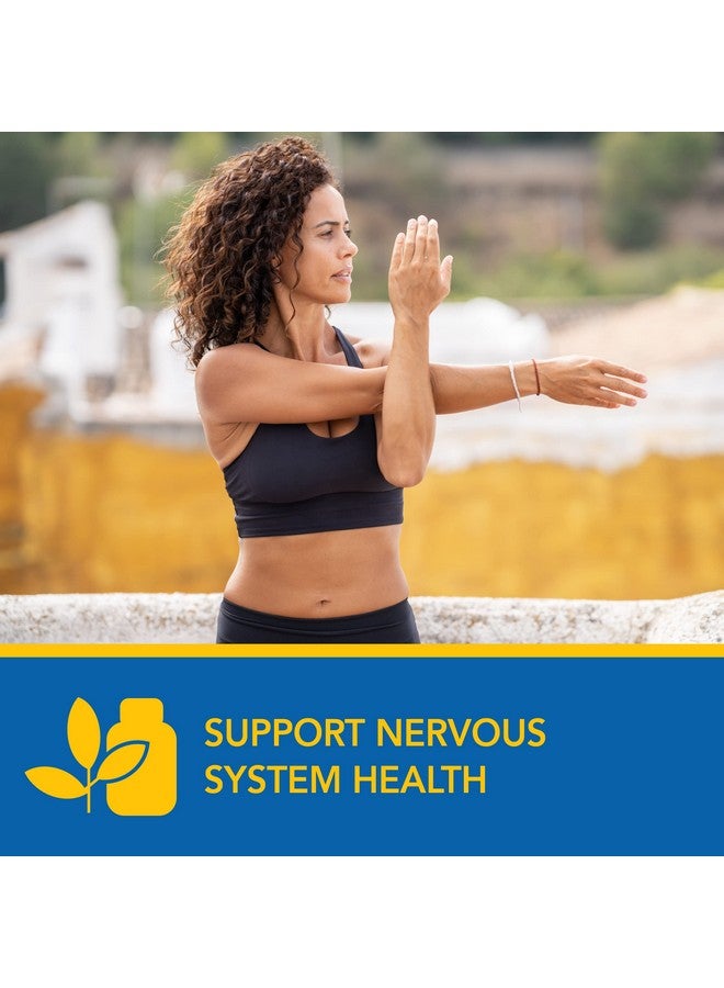 Ayush Herbs مكمل باكوبا بلس العشبي جينكو بيلوبا لدعم الذاكرة والجهاز العصبي 90 كبسولة نباتية - Image 3