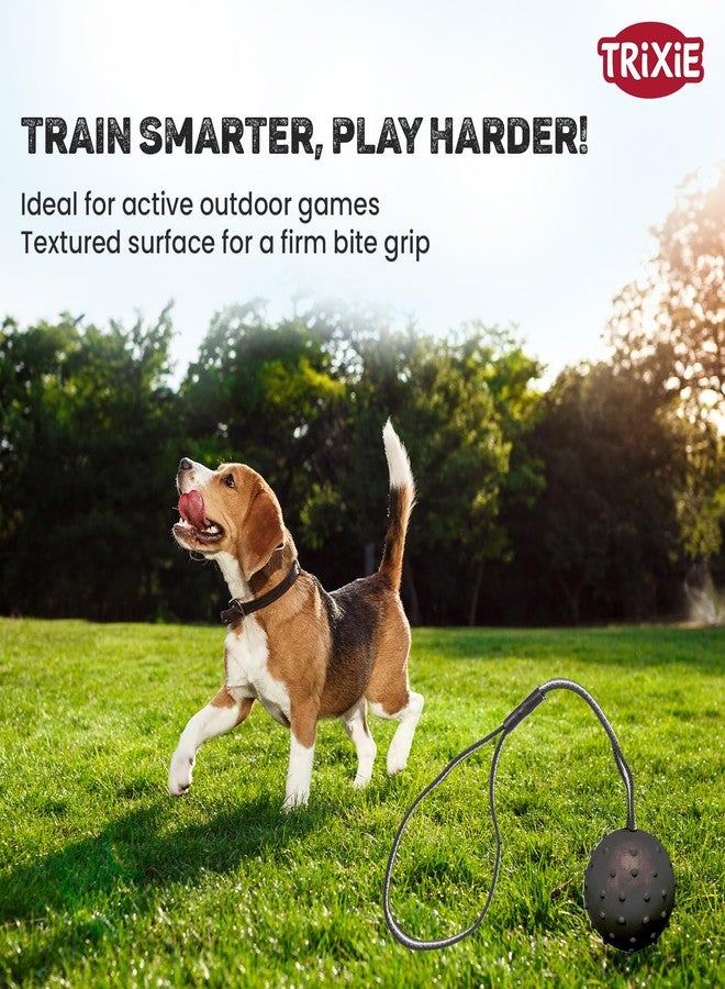 تريكسي لعبة كرة تريكسي مع حزام للكلاب | لعبة شد وجلب متينة من المطاط الطبيعي مع حبل قوي | لعبة تفاعلية للكلاب للتدريب والتمرين وتقوية الرابطة - 6/35 سم - Image 5