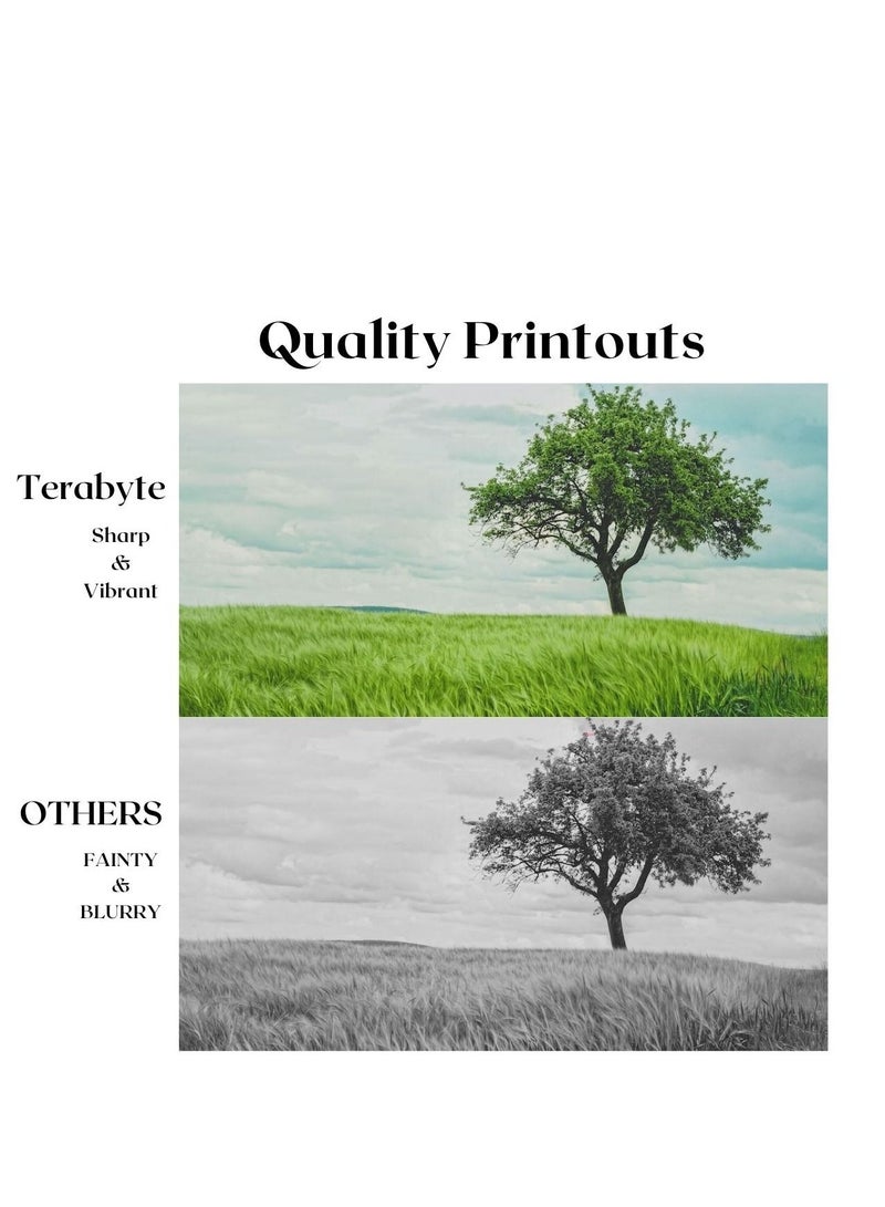 Terabyte TN273 TERABYTE COMPATIBLE TONER YELLOW - Image 4