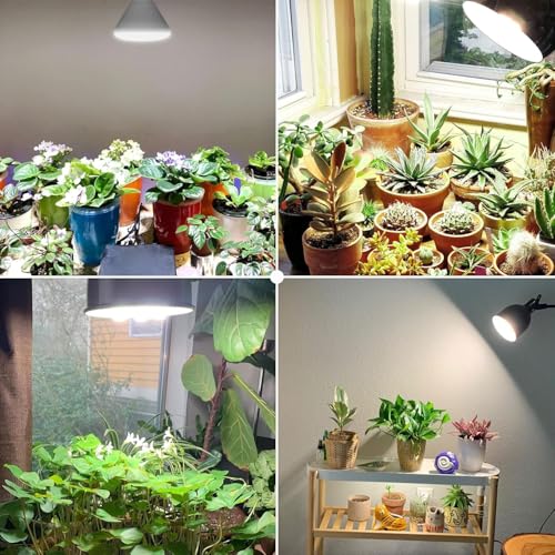 SANSI 200W Equivalent LED Grow Light Bulb, BR30 24W Full Spectrum Grow Bulb with 120° Wide Beam Angle, 4000K Daylight White IP54 Waterproof Plant Lights for Indoor Outdoor Plants - Image 2