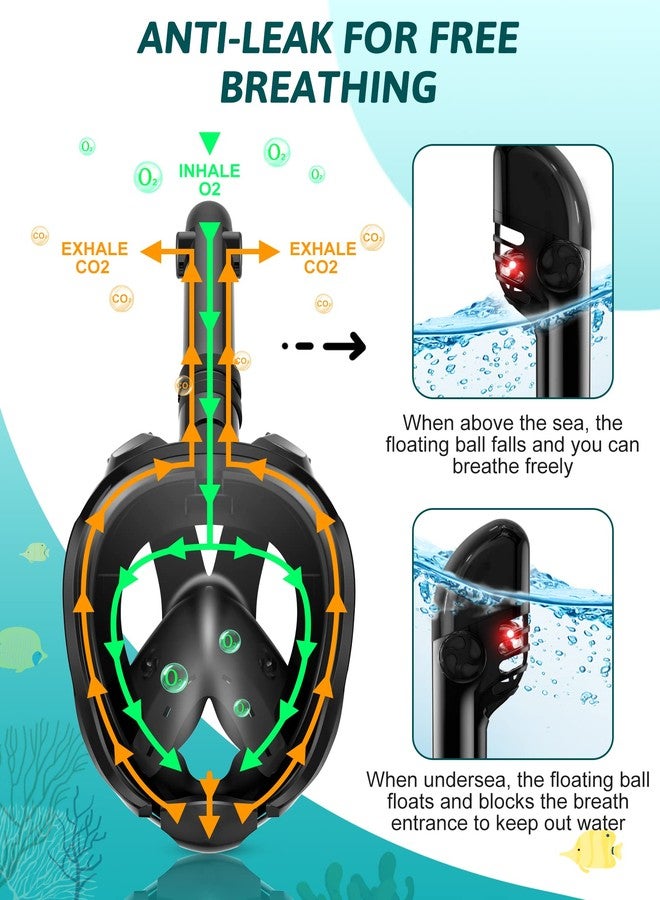 Viginsul Snorkeling Gear for Adults, Panoramic View Full Face Snorkel Mask with Foldable Dry Top System & Adjustable Swim Fins, Snorkel Set Anti-Fog & Anti-Leak - Image 3