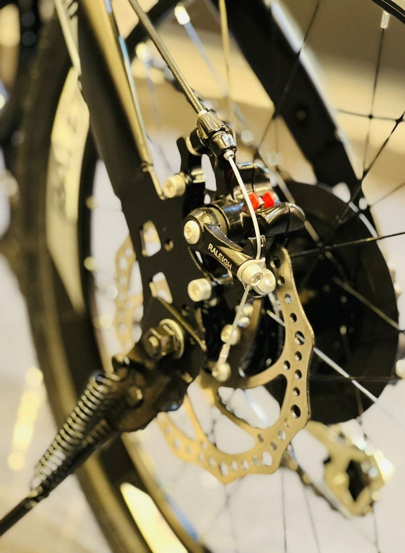 RALEIGH 20 Inch Carbon Steel Foldable City Bike And Custom 7-Speed Foldable Bike - Image 5