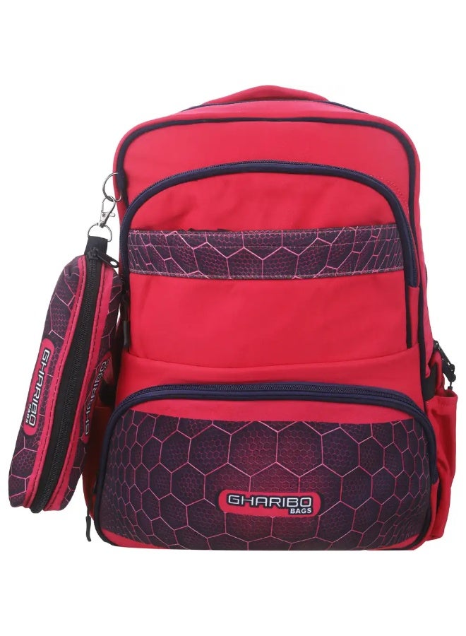 شنطة مدرسية جبردين للبنات غاريبو باج، 3 سوست، 16 بوصة، بالأضافة الى مقلمه - Image 1