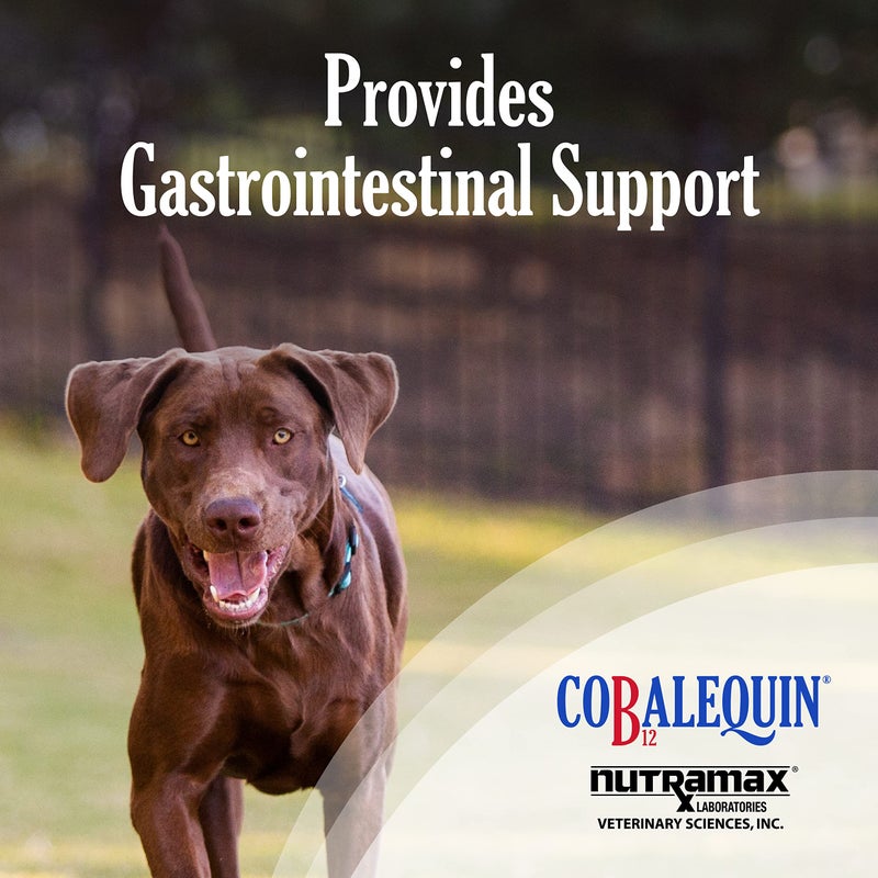 Nutramax Laboratories Cobalequin B12 Supplement for Medium to Large Dogs, 45 Chewable Tablets, Hydrolyzed Chicken, 2.08 ounces - Image 2