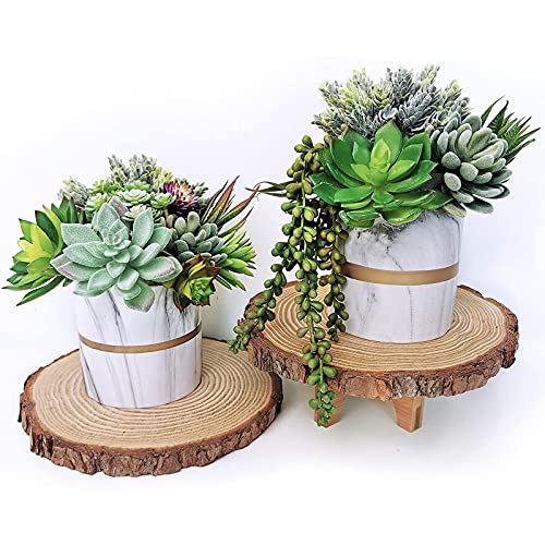 Supla 14 Pcs Unpotted Artificial Succulents Plants Bulk Assorted Faux Succulents in Different Green Hanging String of Pearls Cactus Aloe Succulent Picks for Wedding Centerpieces Floral Arrangement - Image 5