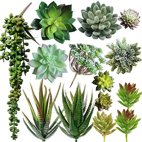Supla 14 Pcs Unpotted Artificial Succulents Plants Bulk Assorted Faux Succulents in Different Green Hanging String of Pearls Cactus Aloe Succulent Picks for Wedding Centerpieces Floral Arrangement - Image 1