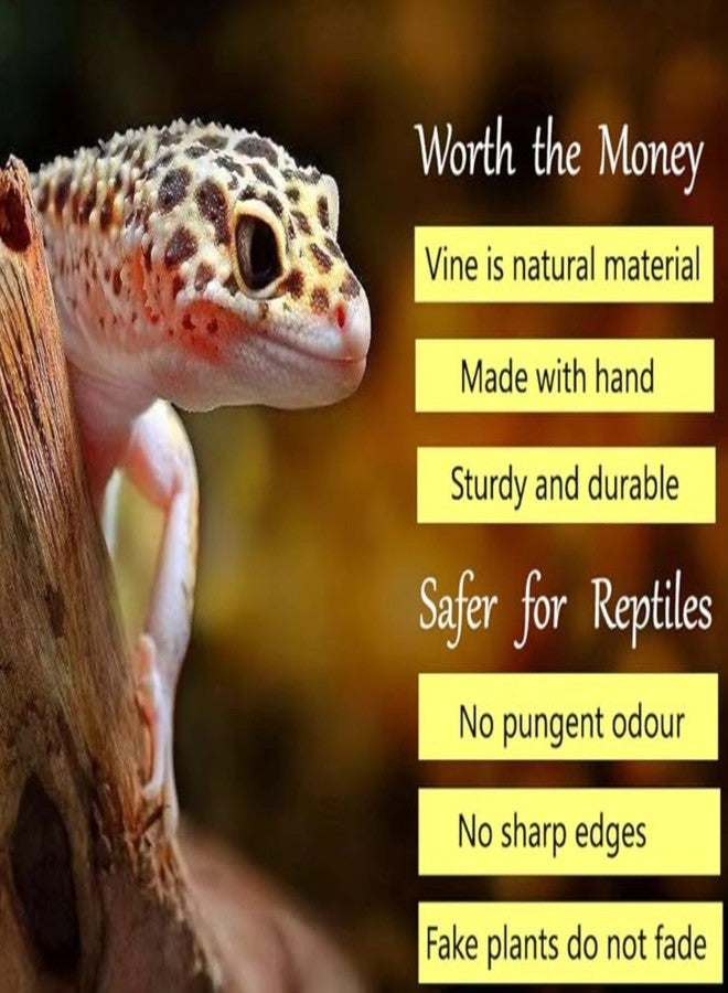 KERUIDENG Reptile Vine Sets, Natural Sturdy Reptile Vines for Climbing，Jungle Decor，Reptile Fake Plants for Terrarium Decor，Jungle Bendable Branch for Chameleon Gecko Snake Lizard (Green) - Image 4