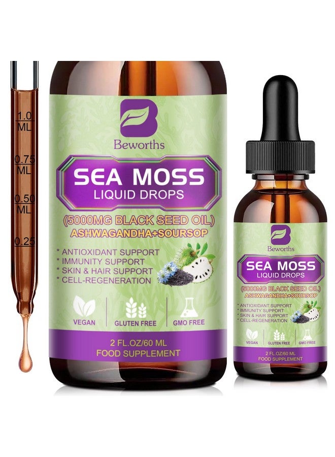ب يستحق قطرات سائلة من الطحالب البحرية - جل زيت حبة البركة والطحالب البحرية الأيرلندية مع عشبة أشواغاندا، ومرارة القشطة، وجذر الأرقطيون، ونبات الطحالب، والتوت البري، جل الطحالب البحرية الخام الأقوى 6 مرات لتعزيز المناعة، وصحة الجهاز الهضمي - Image 1