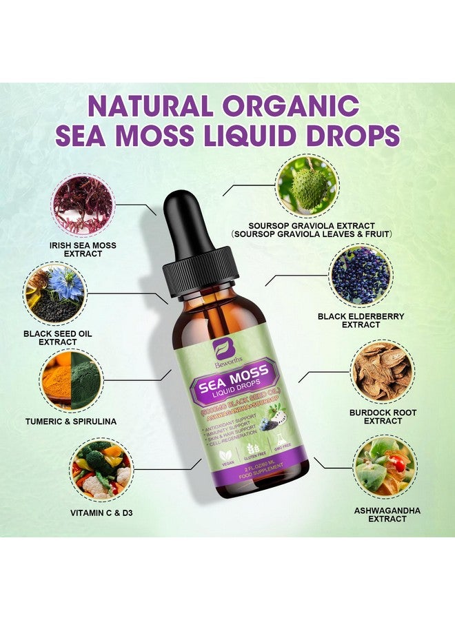 ب يستحق قطرات سائلة من الطحالب البحرية - جل زيت حبة البركة والطحالب البحرية الأيرلندية مع عشبة أشواغاندا، ومرارة القشطة، وجذر الأرقطيون، ونبات الطحالب، والتوت البري، جل الطحالب البحرية الخام الأقوى 6 مرات لتعزيز المناعة، وصحة الجهاز الهضمي - Image 2