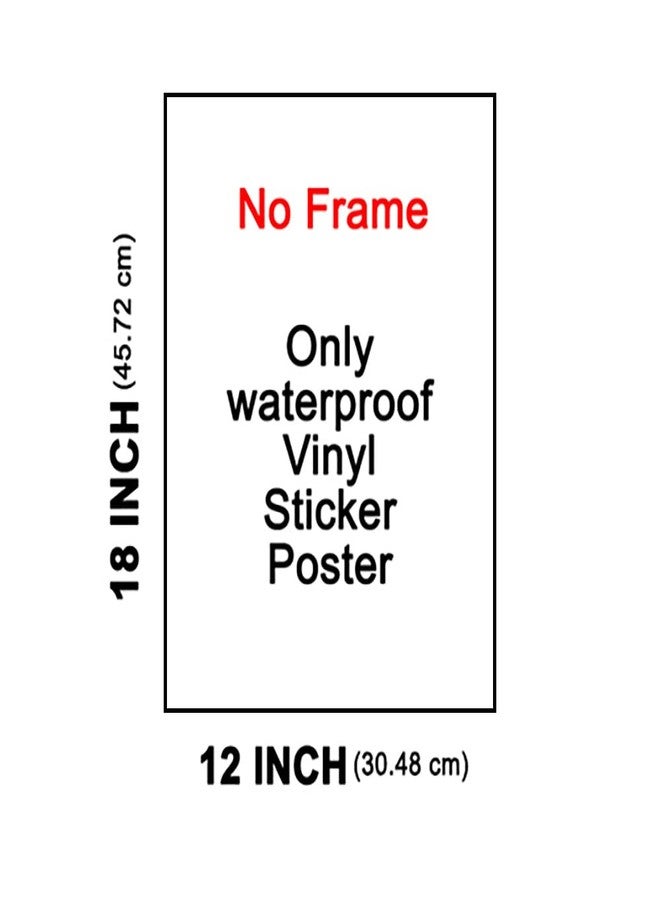 wallpics® Tirupati Balaji - Lord Venkateswara Swamy Hindu Religious Vinyl Sticker for Home II (30cm x 45cm) jican5006-1 - Image 2