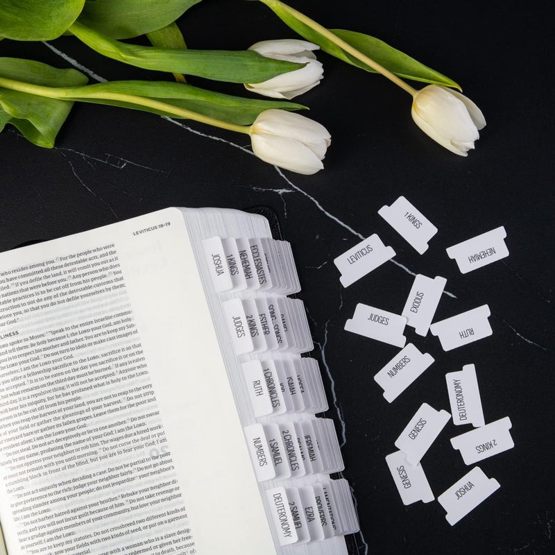 DIVERSEBEE Laminated Bible Tabs (Large Print, Easy to Read), Bible Journaling Supplies, Bible Book Tabs, Christian Gift, 66 Bible Tabs Old and New Testament, Includes 11 Blank Tabs - Image 3