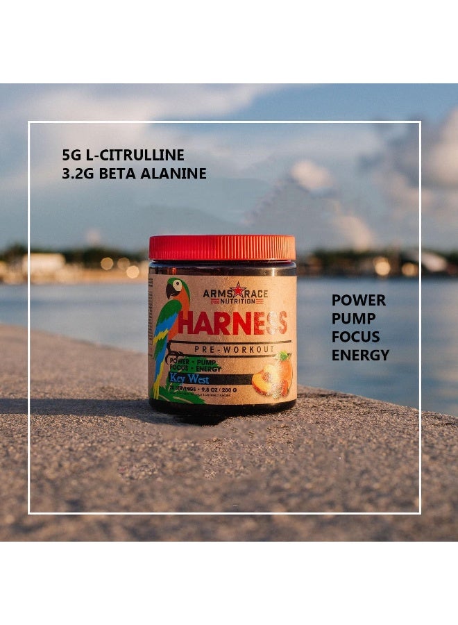 GNC Arms Race Nutrition Harness Pre-Workout, 20 Servings Big Sky - Image 2