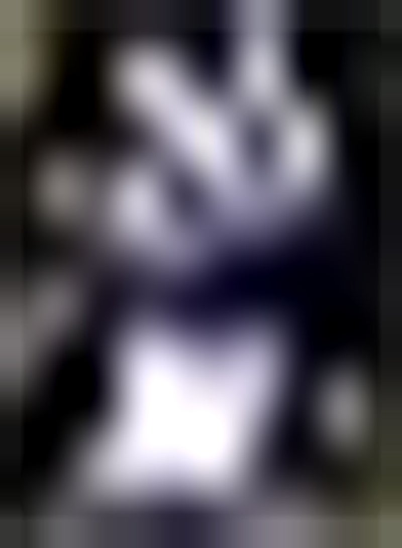 GGOOT 500pcs Purple Platycodon Grandiflorus Seeds Attracting Butterflies Bees Add Color to Your Garden Stop and Admire Good Choice for Planting DIY Garden Craft Art Decoration - Image 2