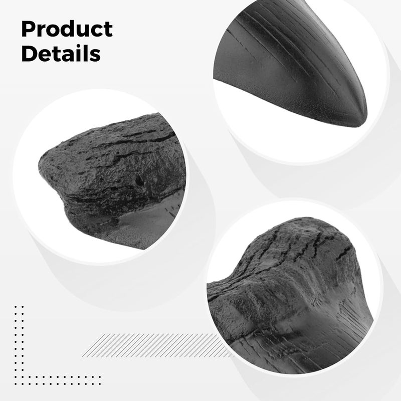 Megalodon Resin Tooth Replica, Vintage Black, Heart Shaped, Detailed Texture, Lovers Collectible Gift, 4.56 In X 5.51 In (11.6 Cm X 14 Cm) - Image 3