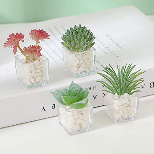 HEY FOLY Cute Succulent Fridge Magnet, 4-Pieces Decorative 3D Plant Magnets for Refrigerator Whiteboard Locker Kitchen Office School (Set #1) - Image 5