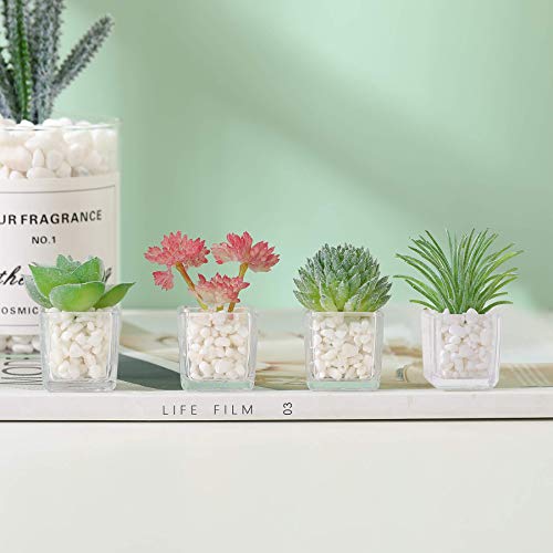 HEY FOLY Cute Succulent Fridge Magnet, 4-Pieces Decorative 3D Plant Magnets for Refrigerator Whiteboard Locker Kitchen Office School (Set #1) - Image 3