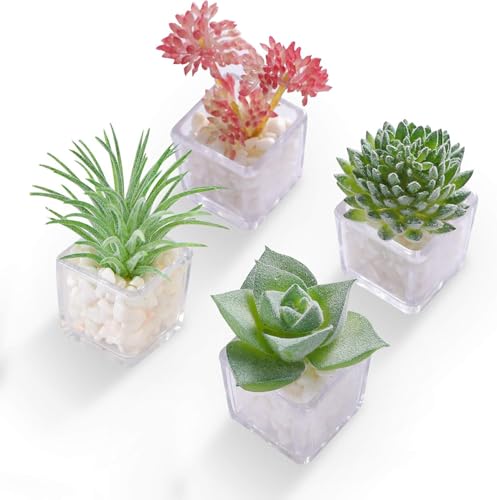HEY FOLY Cute Succulent Fridge Magnet, 4-Pieces Decorative 3D Plant Magnets for Refrigerator Whiteboard Locker Kitchen Office School (Set #1) - Image 1
