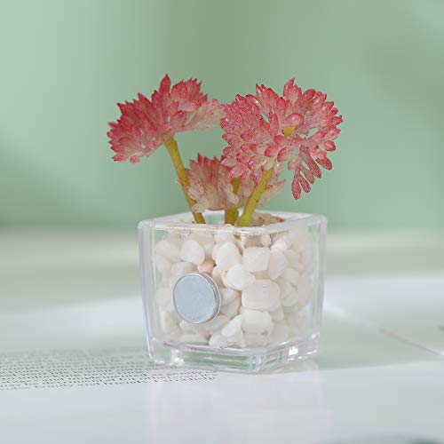 HEY FOLY Cute Succulent Fridge Magnet, 4-Pieces Decorative 3D Plant Magnets for Refrigerator Whiteboard Locker Kitchen Office School (Set #1) - Image 2
