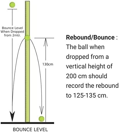 Nivia كرات تنس كريكيت ثقيلة الوزن - عبوة من 6 - Image 4