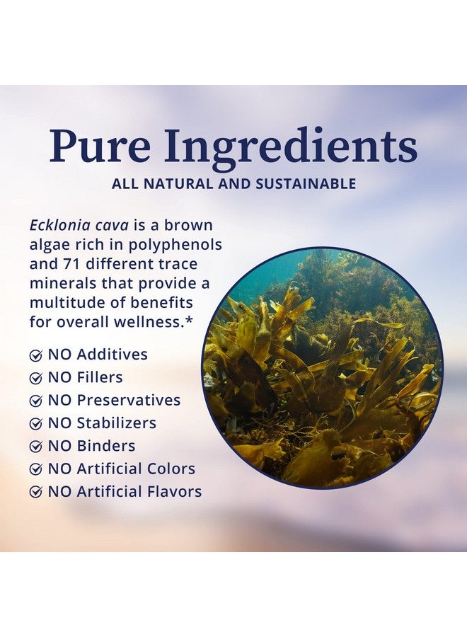 BioPure BioPure PC-Ecklonia Cava - Potent Brown Algae Botanical Extract Rich in Polyphenols and 71 Trace Minerals That Support Neurological Function, Circulation, and Overall Wellness - 75 Vegetable Capsules  - Image 2