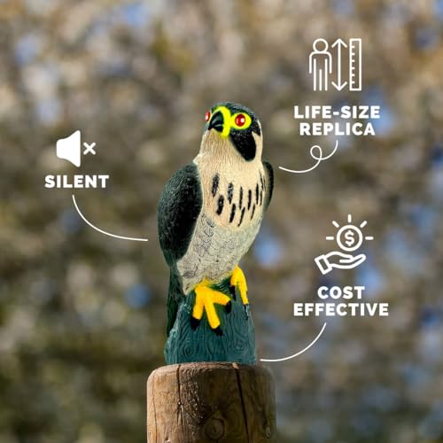 Bird-X Falcon Predator Decoy - Image 4