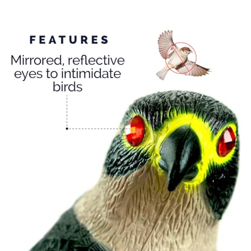 Bird-X Falcon Predator Decoy - Image 3