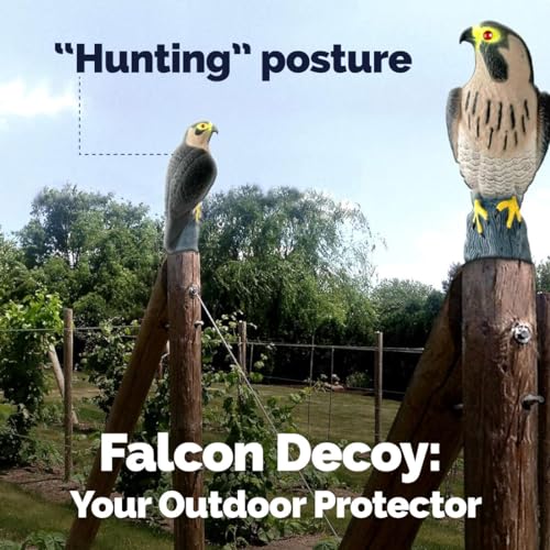 Bird-X Falcon Predator Decoy - Image 2