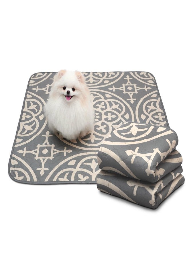 Paw Inspired Designer Print Dog Pads (2 Pack) | Premium Washable Pee Pads | Reusable Puppy Pads for Potty Training, Whelping, Waterproof Mat | Leakproof, Non-Slip Liner (Medallion Style, 36"x36" Size) - Image 1