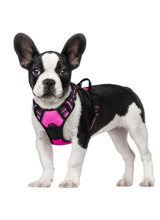 rabbitgoo Dog Harness, No-Pull Pet Harness with 2 Leash Clips, Adjustable Soft Padded Dog Vest, Reflective No-Choke Pet Oxford Vest with Easy Control Handle for Small Dogs, Hot Pink, S - pzsku/Z56FFCA62FC44ABEEB4F7Z/45/_/1736426618/a9fe76f1-7761-4741-8a2e-c7f3790d76ff