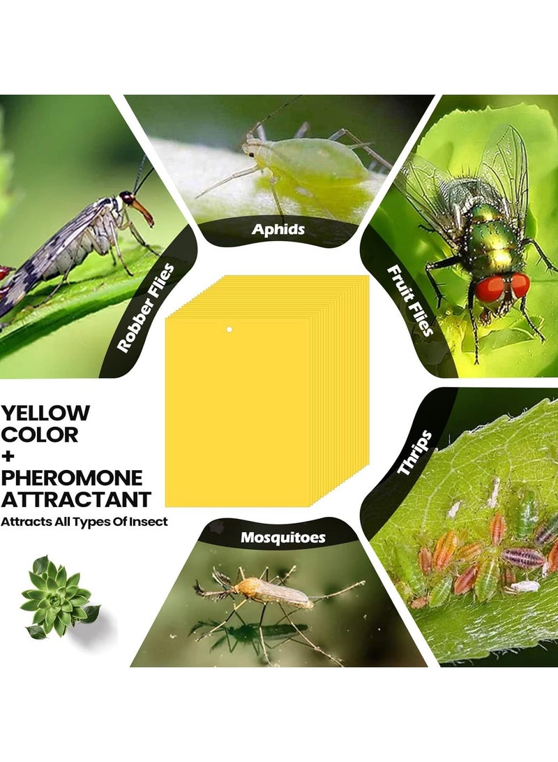 Generic 50-Pack Fruit Fly Trap, Yellow Sticky Gnat Traps Killer for Indoor/Outdoor Flying Plant Insect Like Fungus Gnats, Whiteflies, Aphids, Leaf Miners - 20x15cm, Twist Ties Included  - Image 2