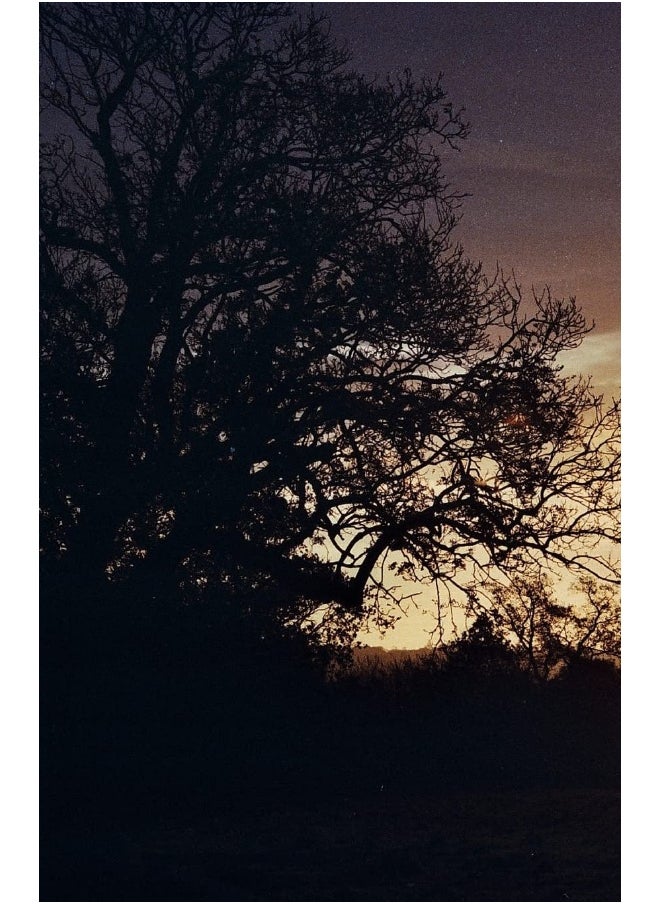 Delineations  - Image 2