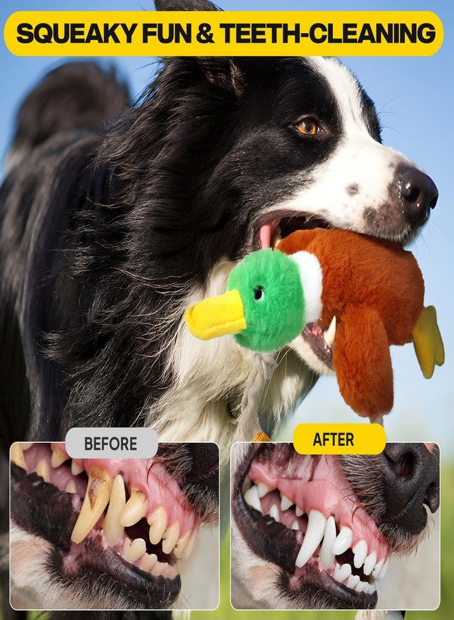 فيدا ألعاب فيدا على شكل بطة للكلاب التي تمضغ بقوة، ألعاب حبل تصدر صوتاً لإبقاء كلبك مشغولاً، لعبة شد الحبل على شكل بطة محشوة بحبل قطني طبيعي للجراء من السلالات الصغيرة والمتوسطة والكبيرة. - Image 4