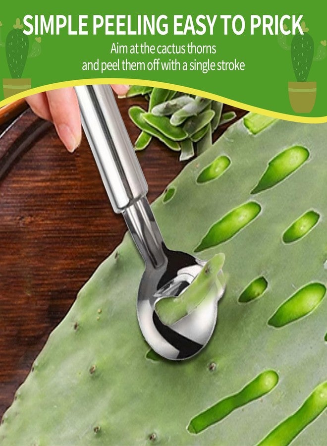 GEDEUBAN 4 قطع أداة مقشرة الصبار مع خطافات لاصقة، من الفولاذ المقاوم للصدأ Pelador De Nopales Con Espinas، ملعقة محمولة Para Pelar Nopales - Image 4