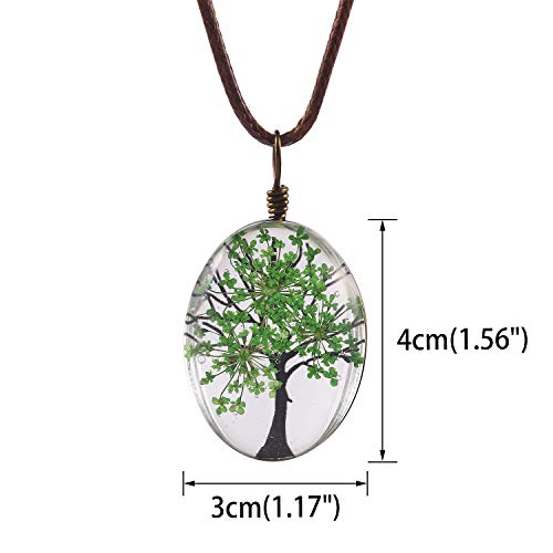 FM FM42 Green Life of Tree Queen Anne's Lace Dried Flowers Oval Pendant Necklace FN4072 - Image 3