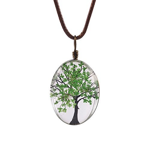FM FM42 Green Life of Tree Queen Anne's Lace Dried Flowers Oval Pendant Necklace FN4072 - Image 1