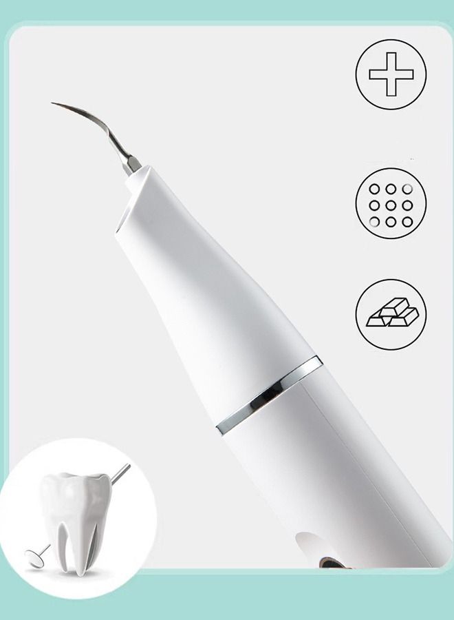 Electric Rechargeable Plaque Remover for Teeth,Teeth Cleaning Kit with LED Light,Tooth Cleaner Tartar Remover Plaque Blaster,Oral Care for Home ,with 3 Adjustable Modes and 2 Replacement Head