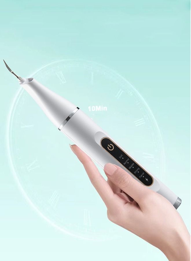 Electric Rechargeable Plaque Remover for Teeth,Teeth Cleaning Kit with LED Light,Tooth Cleaner Tartar Remover Plaque Blaster,Oral Care for Home ,with 3 Adjustable Modes and 2 Replacement Head
